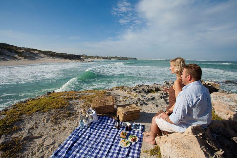 Explore scenic Cape routes with this fabulous 7-day ‘Wine and Whales’ tour
