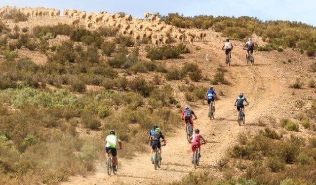 Mountain bike through the wild terrain at De Hoop Nature Reserve