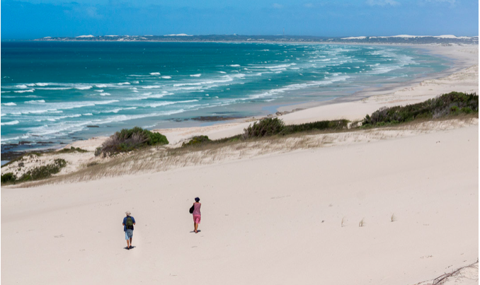 15 things to do at De Hoop Nature Reserve in the Overberg